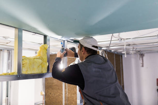 Best Crawl Space Insulation  in Meadows Place, TX