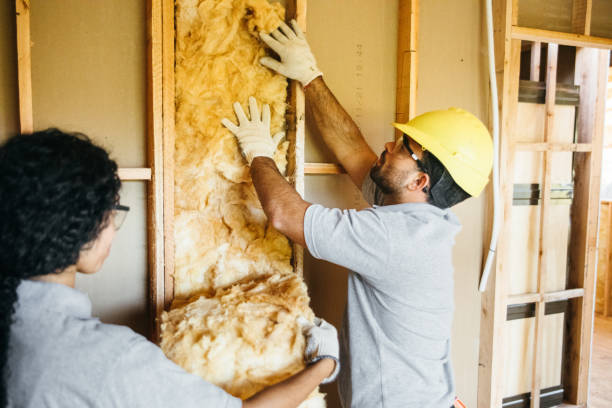 Best Wall Insulation Contractor  in Meadows Place, TX