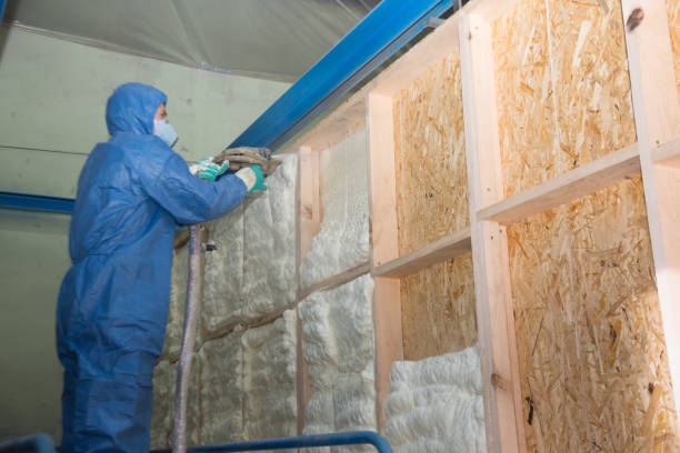 Best Attic Insulation Installation  in Meadows Place, TX