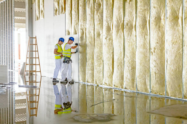 Best Local Insulation Services  in Meadows Place, TX